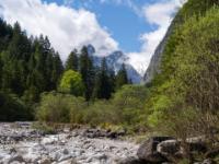 Tote Baumstämme und Felsen im Wimmbachbett